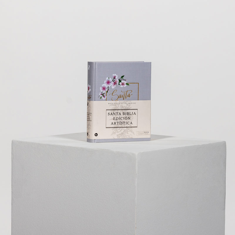 Santa Biblia edición artística, tapa dura, gris