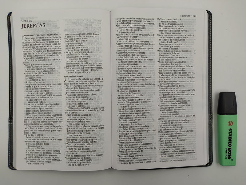 Santa Biblia ultrafina negro/gris - NTV