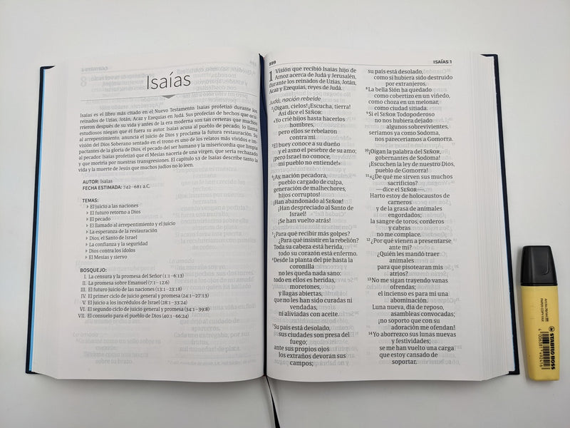 Biblia azul bordado sobre tela, letra super gigante - NVI