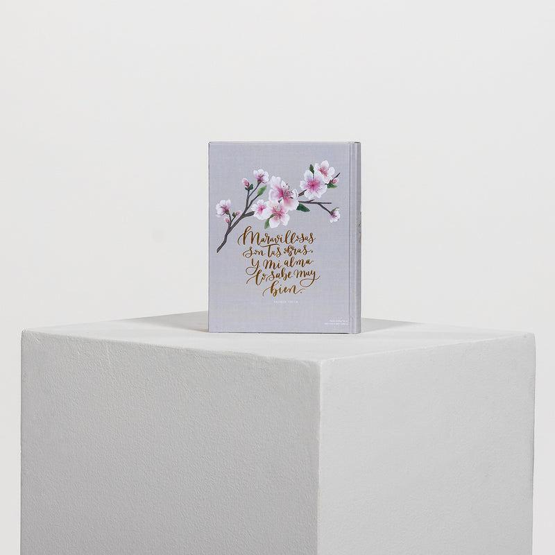 Santa Biblia edición artística, tapa dura, gris