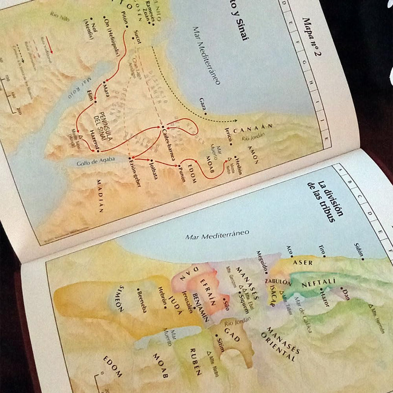 Biblia de Estudio Explicada RVR 1960 - Comentarios y Referencias | Patmos