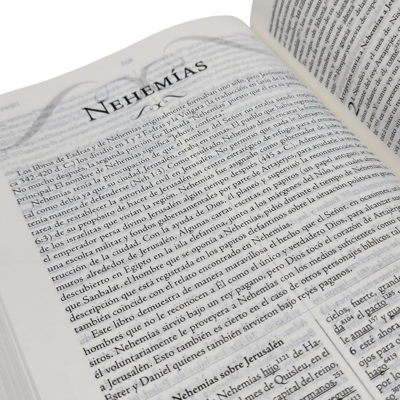 Biblia de estudio palabra clave, con diccionarios Hebreo y Griego - RVR 1960