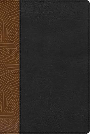 Biblia de estudio Arcoiris, Tostado/Negro, semi piel - RVR 1960