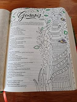 The message canvas Bible para colorear - Eugene H. Peterson