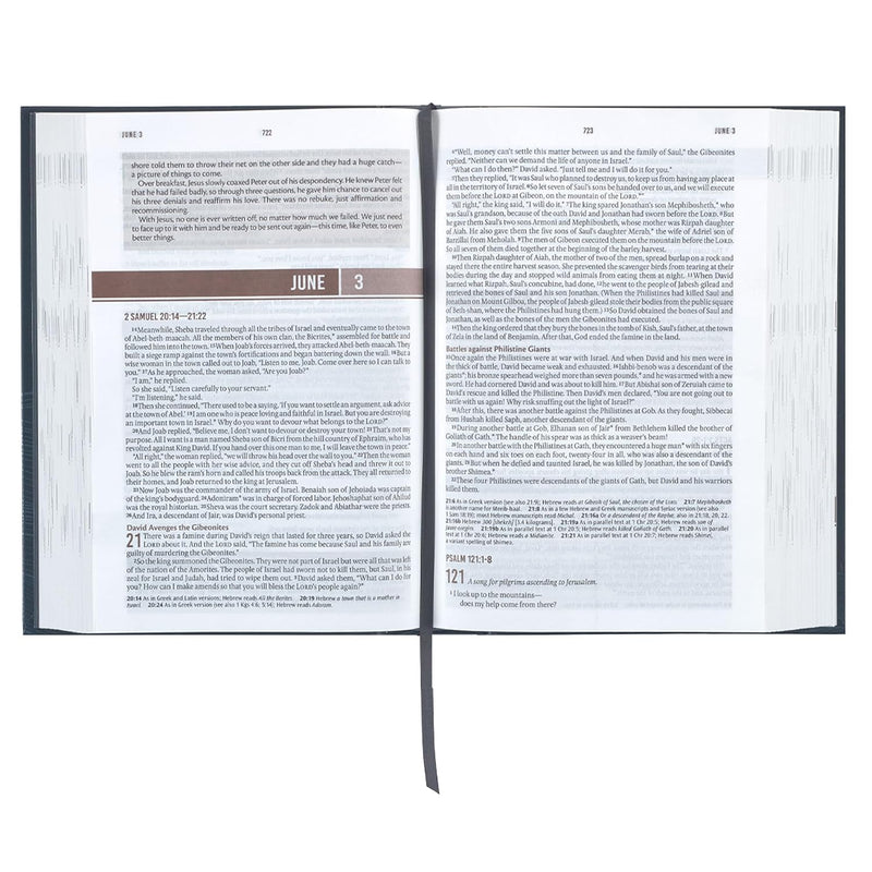Biblia Devocional en Inglés para hombres, Everyday NLT