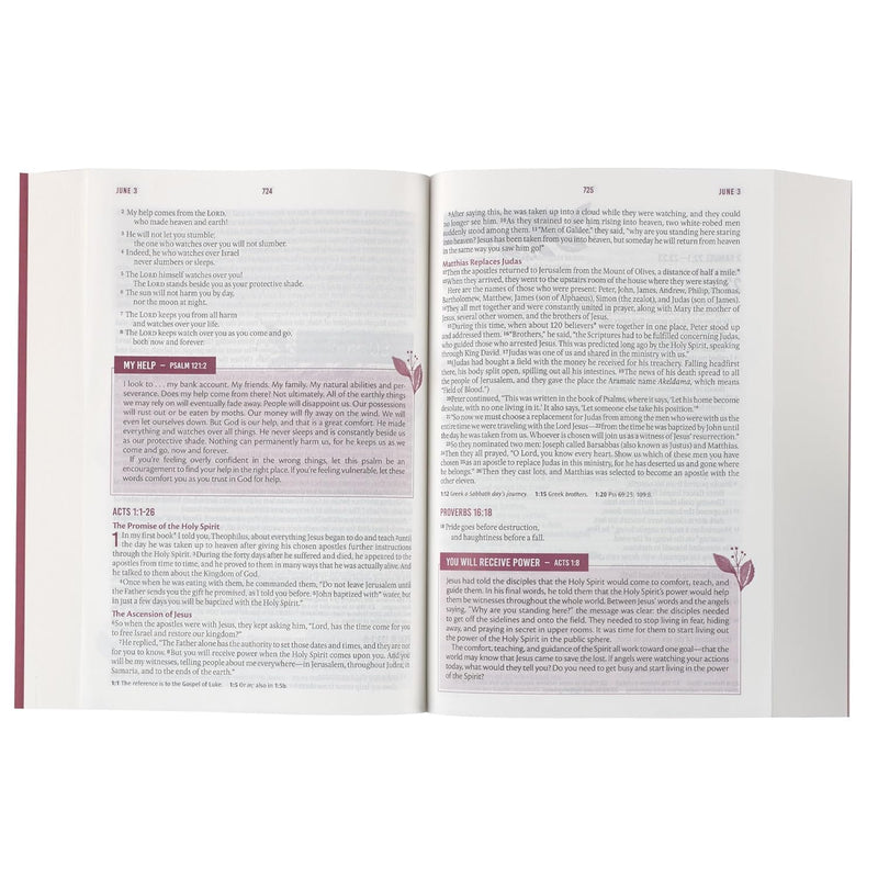 Biblia Devocional diaria para mujeres, color rosa, NLT