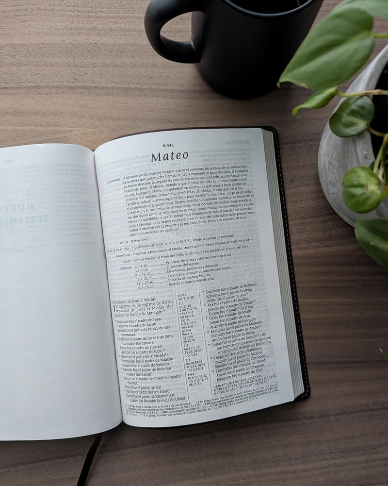 Biblia de referencia, letra grande con Filament, SentiPiel Café, Letra Roja - NTV