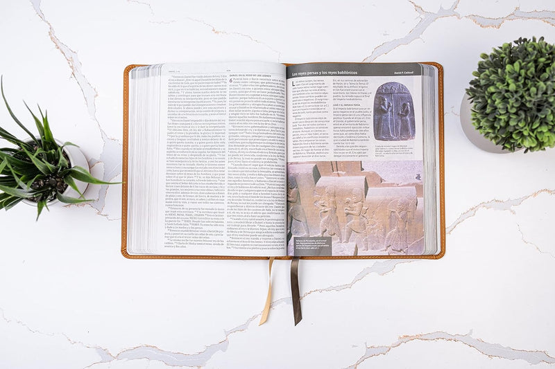 Biblia ilustrada de la Tierra Santa, café símil piel - RVR 1960