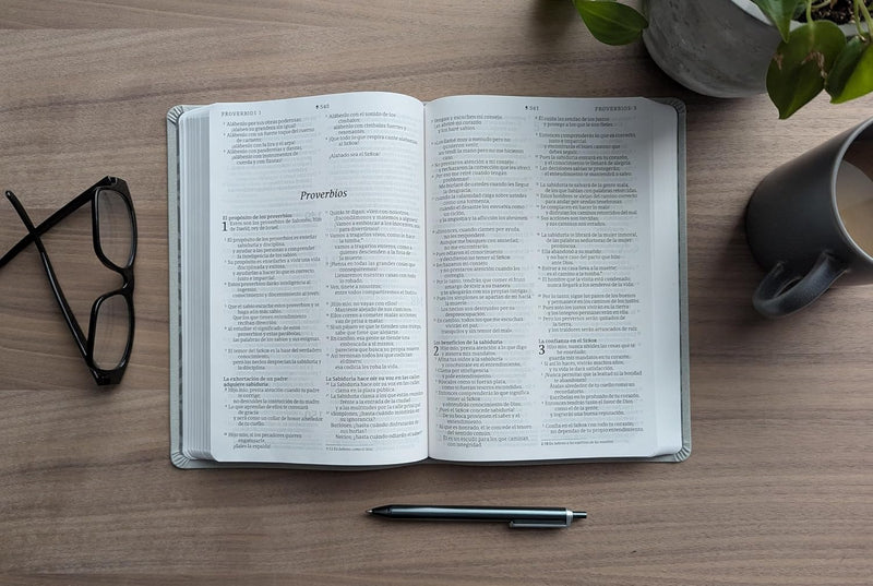 Biblia valor prémium, letra grande con Filament, SentiPiel Gris - NTV