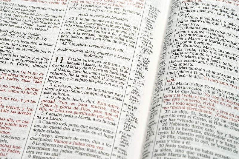 Biblia de estudio Scofield tamano personal, chocolate oscuro símil piel, RVR 1960