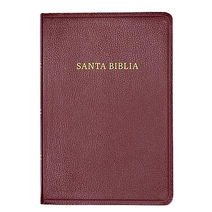 Santa Biblia letra gigante, borgoña imitación piel - RVR 1960
