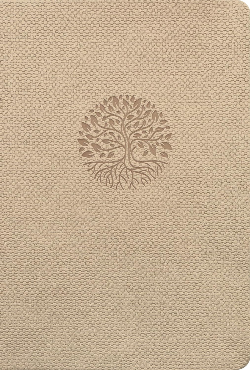 Biblia Valor premium fillament, letra grande, color beige - NTV