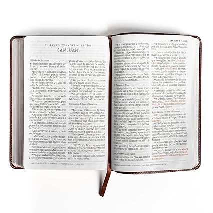 Santa Biblia letra gigante, café piel fabricada - RVR 1960