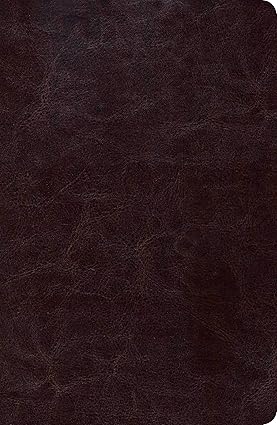Biblia de estudio Scofield tamano personal, chocolate oscuro símil piel, RVR 1960