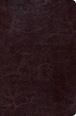 Biblia de estudio Scofield tamano personal, chocolate oscuro símil piel, RVR 1960