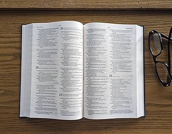 The Message Large-Print Deluxe Gift Bible, soft leather-look, green