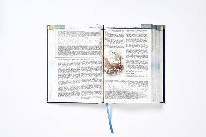 Biblia cronológica de estudio tapa dura- NBLA
