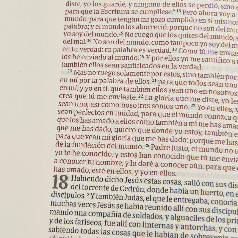 Biblia de apuntes edición letra grande - RVR  1960