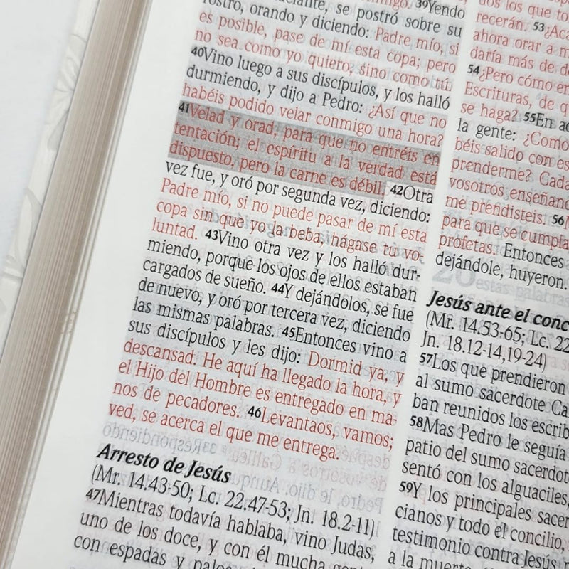 Santa Biblia de promesas Jesús para todos letra grande tamaño manual piel especial marfil- RVR1960