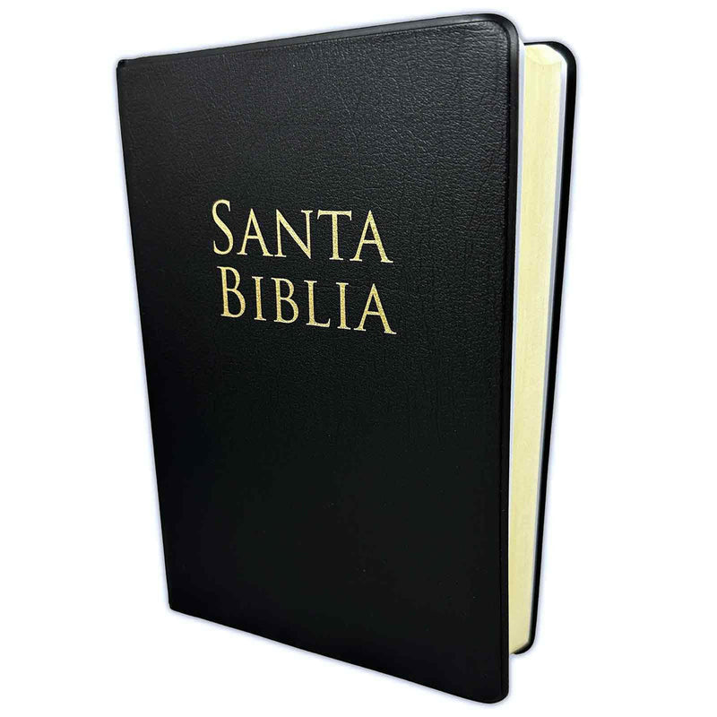 Biblia letra grande, personalizada negro - RVR 1960