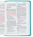 Biblia aguamarina, letra gigante - NVI