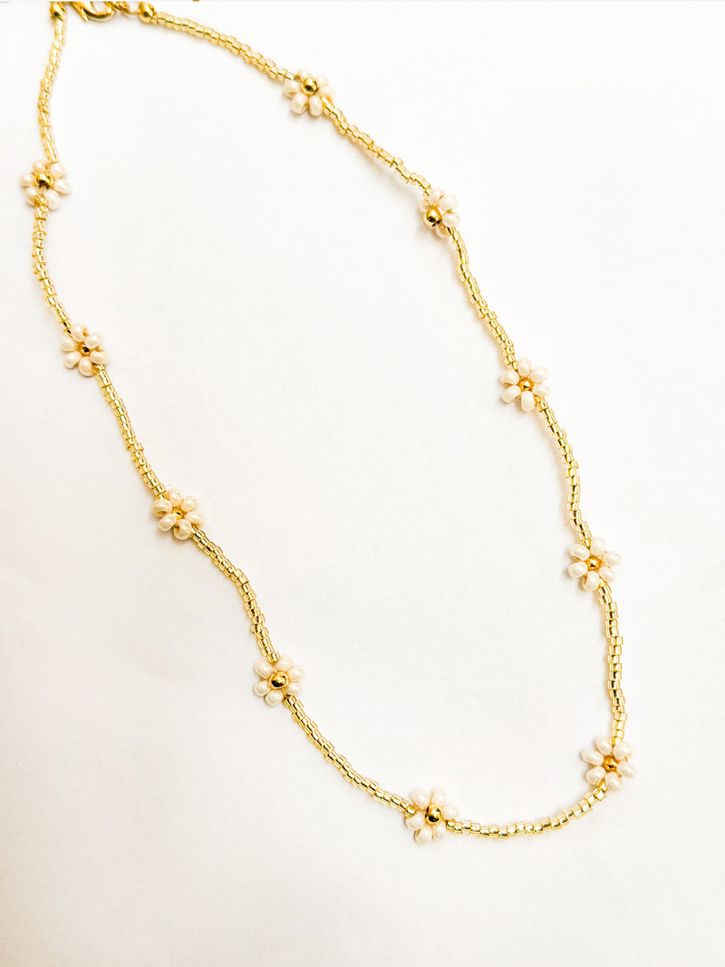 Collar mini margaritas