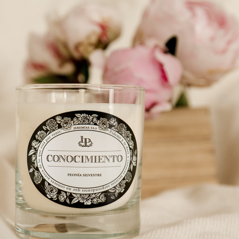 Vela Conocimiento, Peonía Silvestre