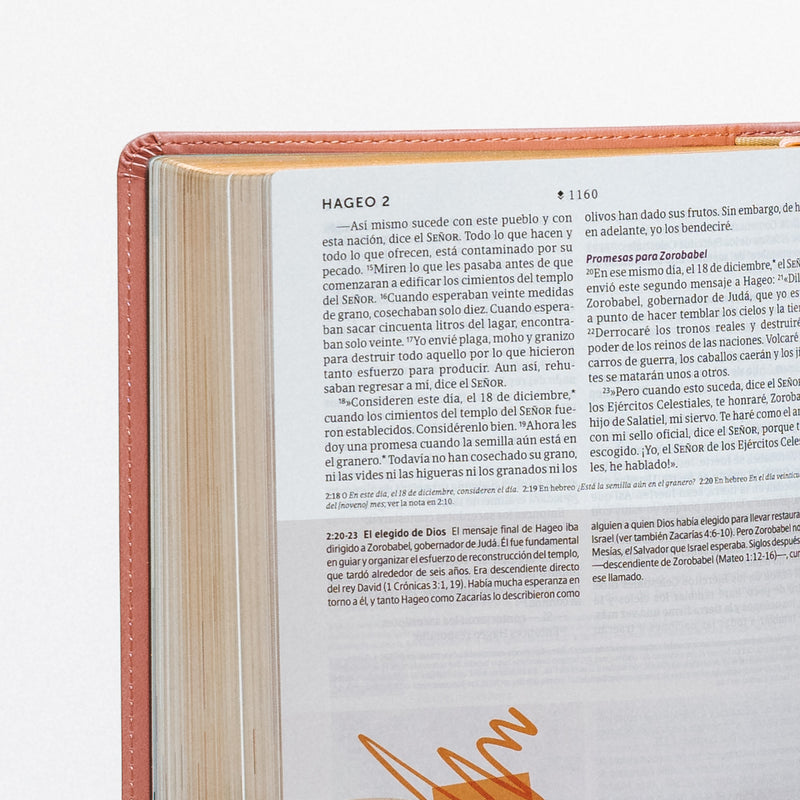 Biblia de estudio del Diario Vivir para jóvenes, sentipiel rosa - NTV