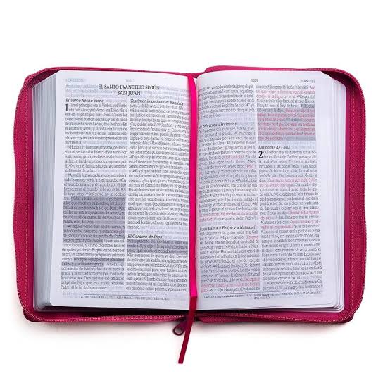 Biblia de promesas, color fucsia con cierre, tamaño manual - RVR 1960