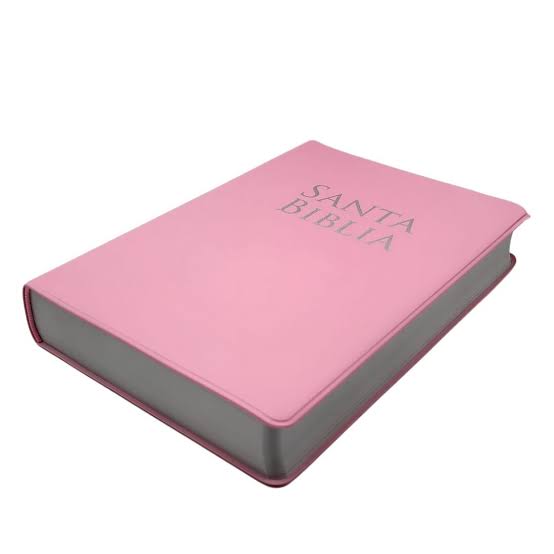 Biblia letra grande, personalizada rosado - RVR 1960