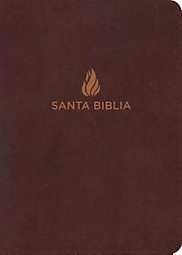 Biblia letra grande, tamaño manual con indice color marrón - NVI