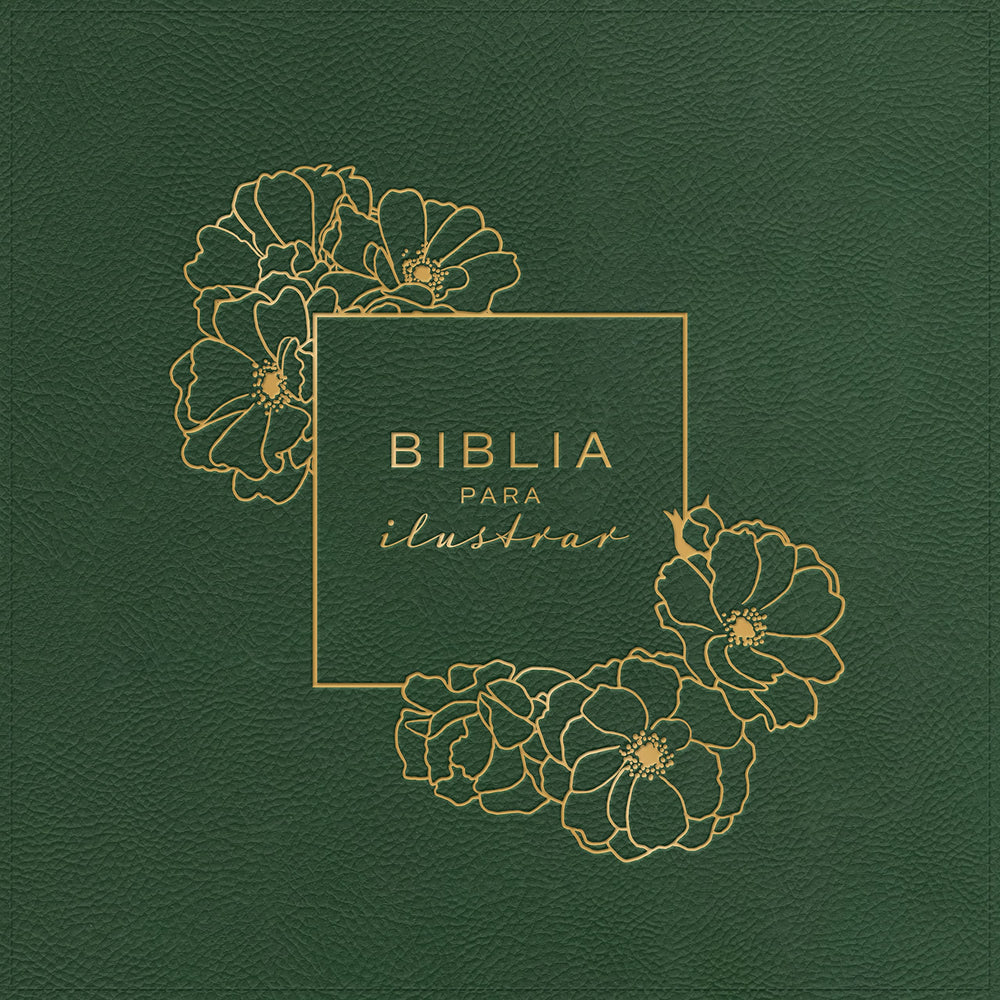 Biblia para ilustrar, símil piel verde - RVR 1960