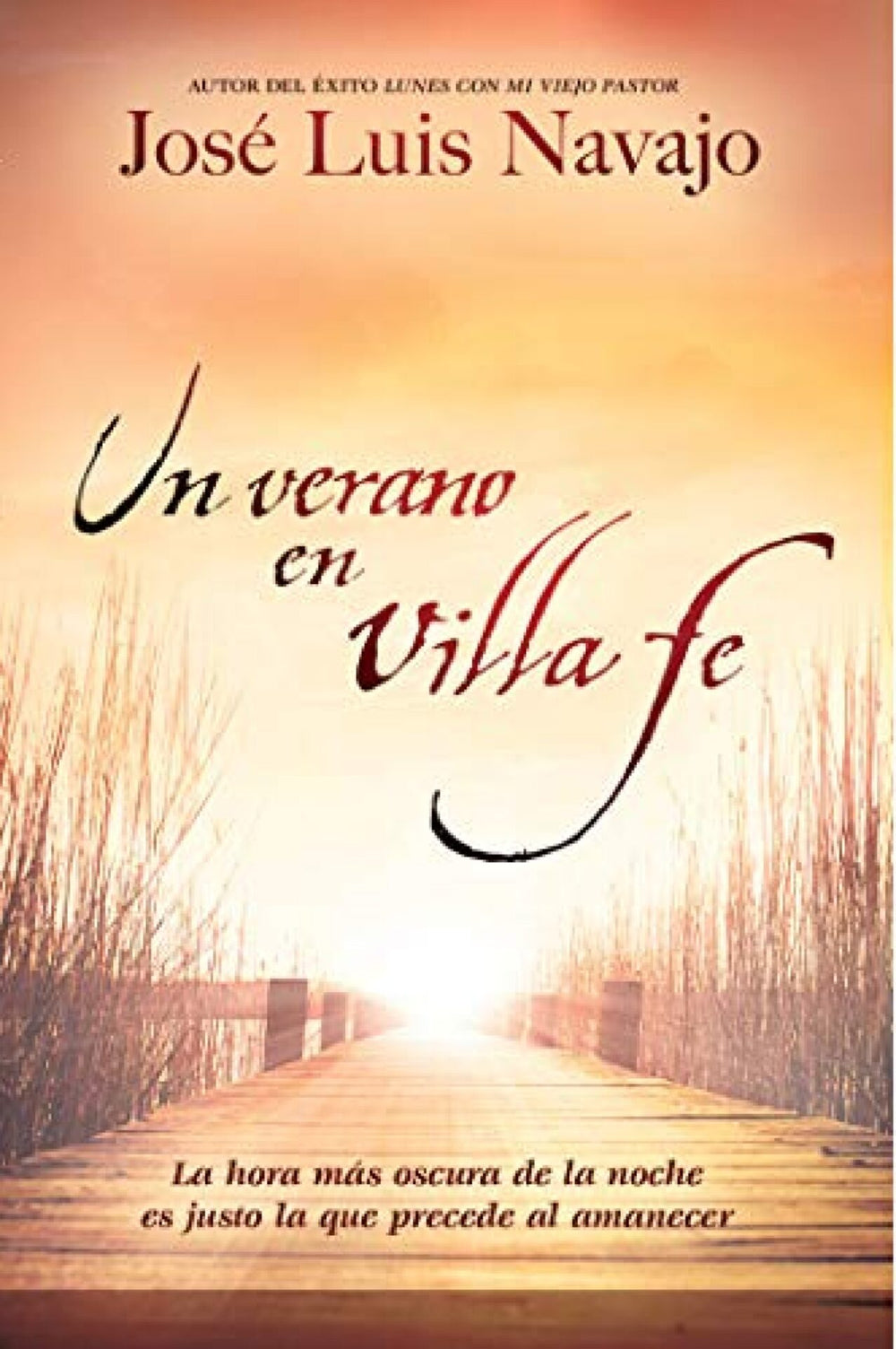 Un verano en Villa Fe- José Luis Navajo