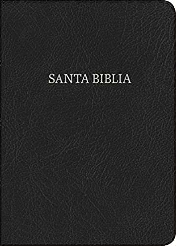 Biblia letra gigante con indice, negro piel - NVI