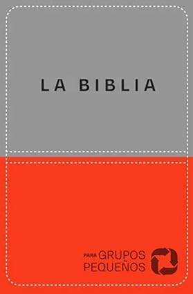Biblia para grupos pequeños