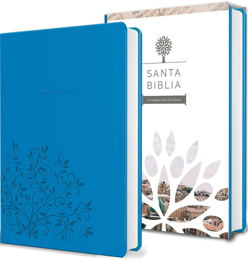 Biblia letra grande, tamaño manual aguamarina - RVR 1960
