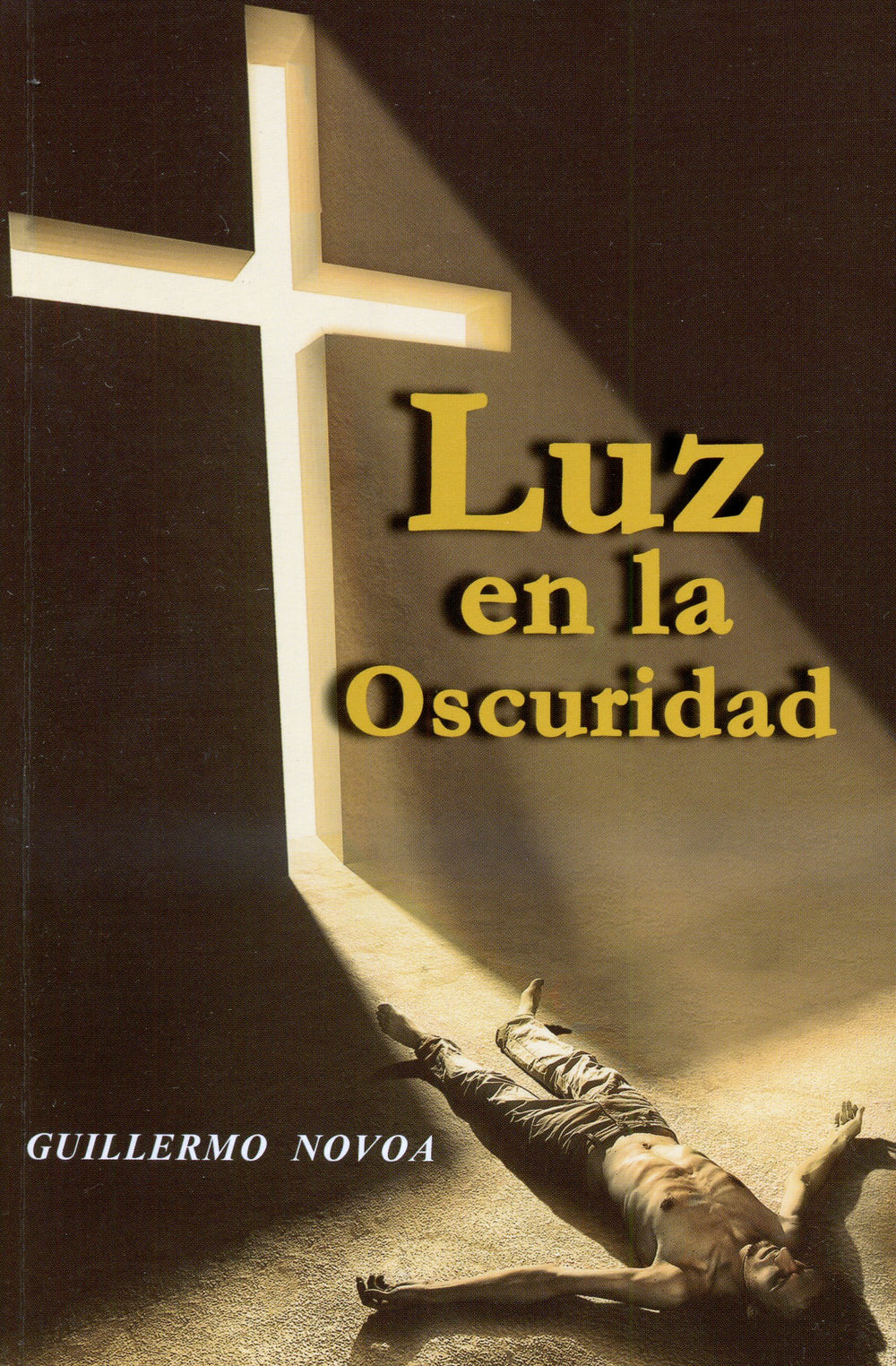 Luz en la oscuridad - Guillermo Novoa