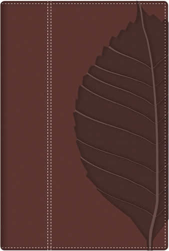 Biblia de estudio vidas transformadas, duotono - RVR 1960