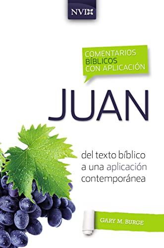 Comentario bíblico con aplicación NVI Juan: Del texto bíblico a una aplicación contemporánea - Gary M. Burge