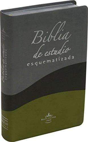Biblia esquematizada, piel tricolor - RVR 1960