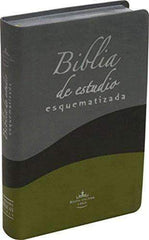 Biblia esquematizada, piel tricolor - RVR 1960