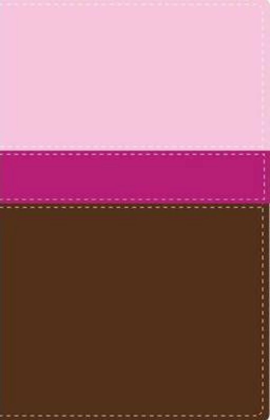 Biblia Héroes, imitación piel rosa/café - NVI