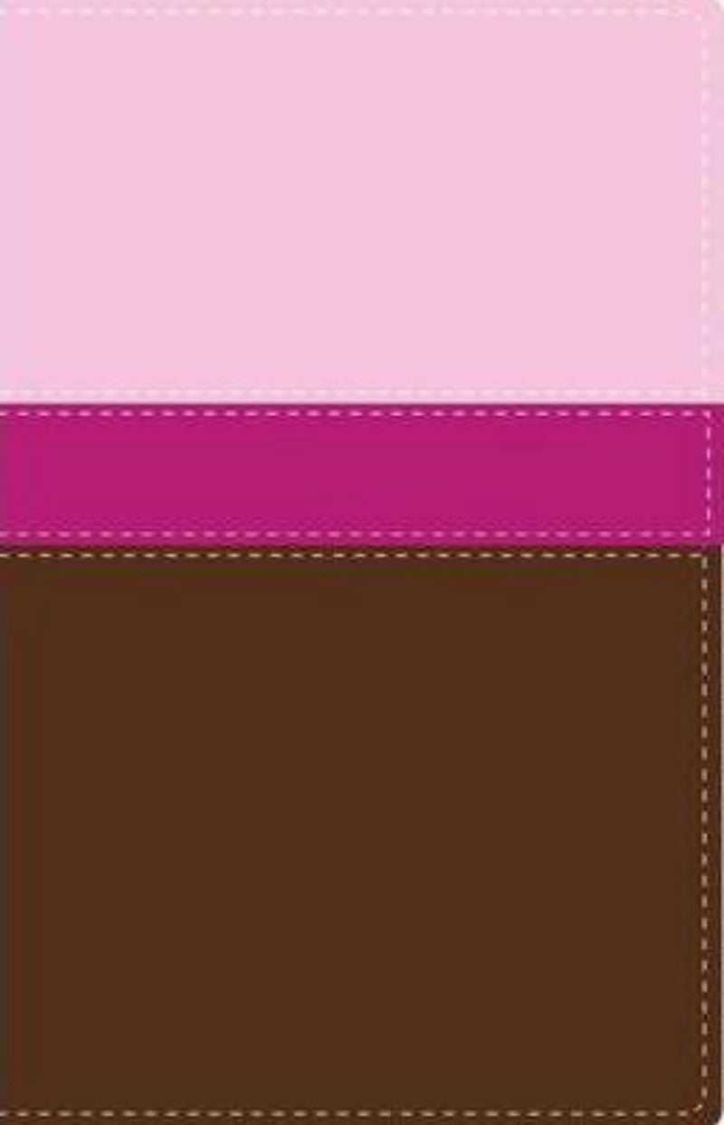 Biblia Héroes, imitación piel rosa/café - NVI