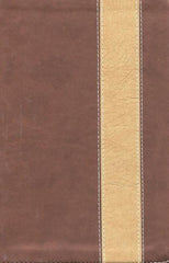 Biblia edición especial con referencias, bronce - RVR 1960