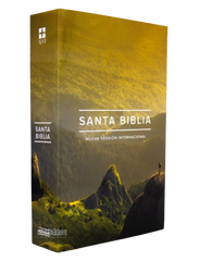 Biblia edición ministerial - NVI