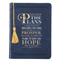 Diario For I Know the Plans, Jeremiah 29:11