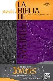 Biblia de promesas para Jóvenes, morada y gris - RVR 1960 - Coffee & Jesus